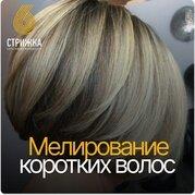 Фотография ШЕСТАЯ СТРИЖКА 5