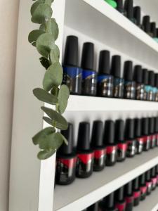 Фотография Falcons Nails 4
