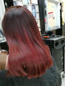 Фотография Кактус 0