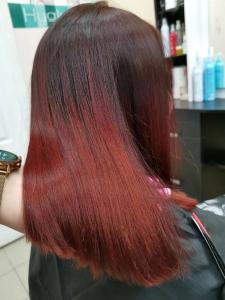 Фотография Кактус 1