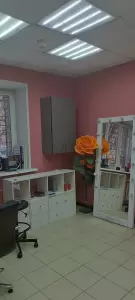 Фотография Топаз 4