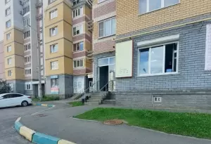 Фотография Колибри 0