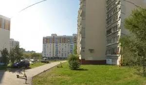 Фотография СТРИЖка 4