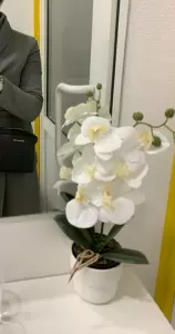 Фотография 7 небо 4