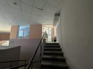 Фотография Monali 2