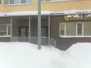 Фотография Greennails_nn 5